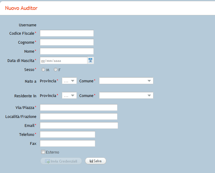 schermata nuovo auditor.PNG